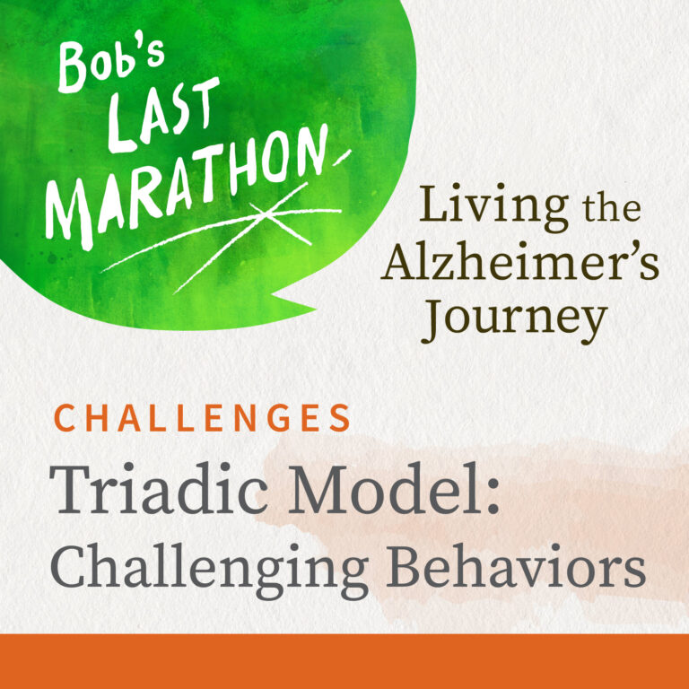 The Triadic Model: Shedding Light on Challenging Behaviors